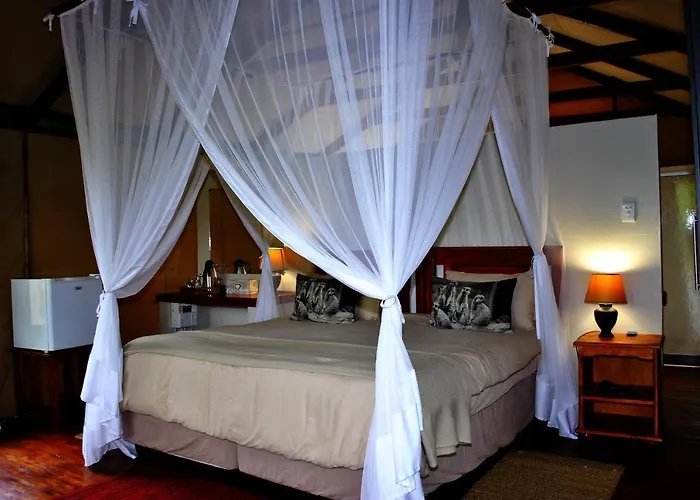 Lion Tree Top Lodge