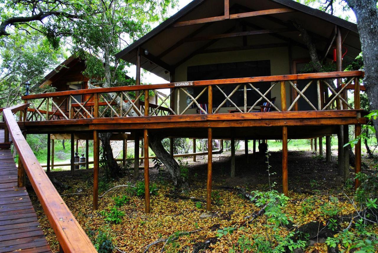 Lion Tree Lodge *